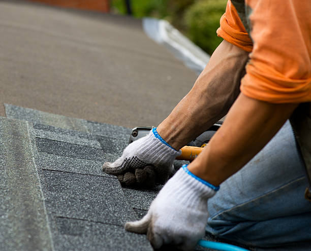 Best Commercial Roofing Services  in Pine Ridge, SD